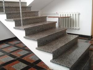 Ступени из гранита Leo